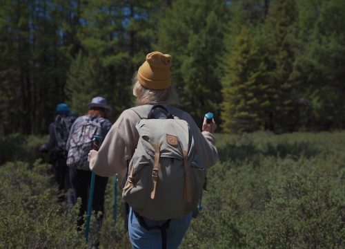 Guide to Choosing the Best Camping Style for Your Adventure